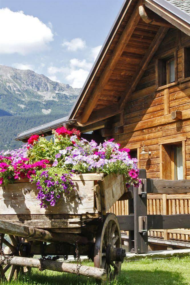 Chalet Teo E Marianna Bormio Extérieur photo